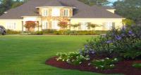 Lawn Frogs Landscaping image 11